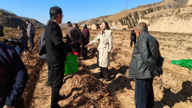 农业新风景：特色农业如何绽放光彩