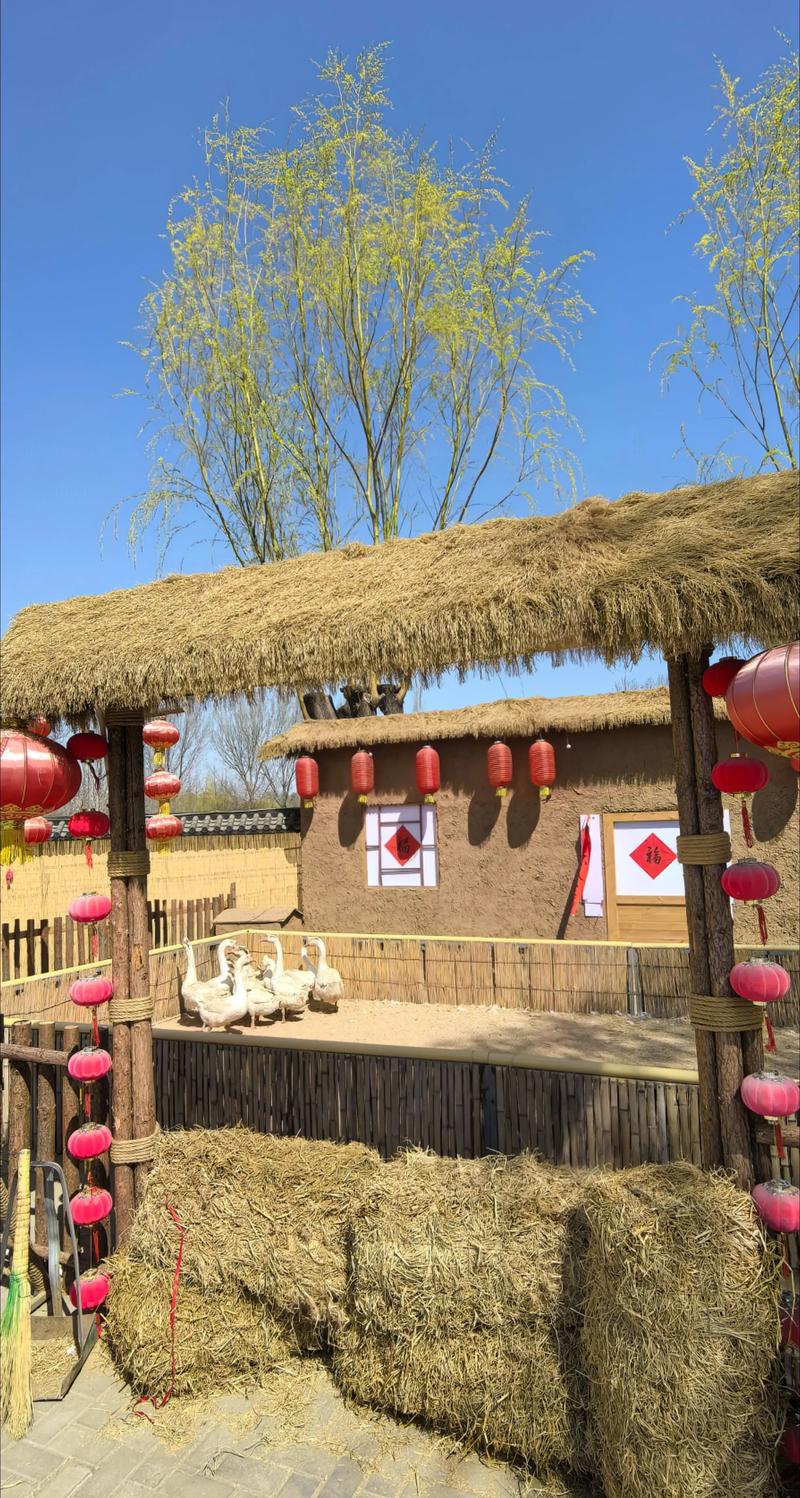 特色农业